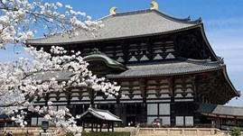 Japan offers free training for teachers and students