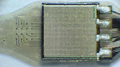 Mắt sinh học cho người mù