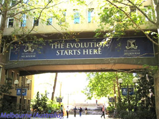 Chọn môi trường đại học quốc tế: nên hay không?