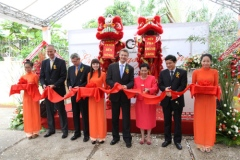 Foreign schools to be restricted