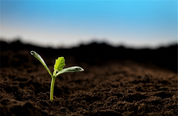 8 ĐIỂM CHUNG CỦA NHỮNG NGƯỜI THÀNH CÔNG TRÊN THẾ GIỚI