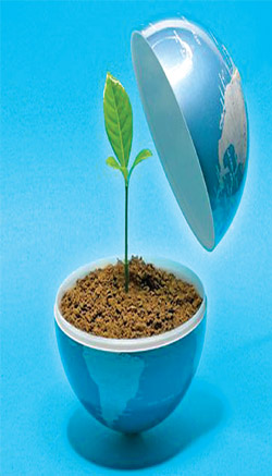 Chương trình Chương trình