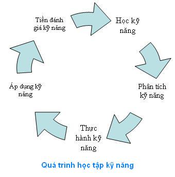 Phong Trào Học Tập Của Sinh Viên Phong Trào Học Tập Của Sinh Viên