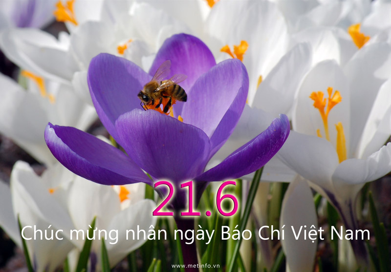 Trường Đại học Công Nghệ Sài Gòn chào mừng Ngày thành lập Báo chí Cách mạng Việt Nam Trường Đại học Công Nghệ Sài Gòn chào mừng Ngày thành lập Báo chí Cách mạng Việt Nam