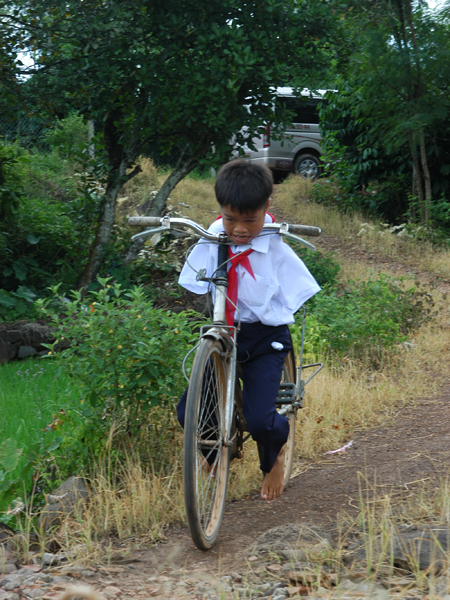 Chim cánh cụt biết bay Chim cánh cụt biết bay