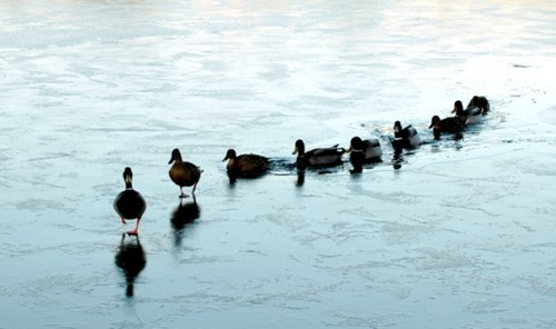 10 điều sếp giỏi nên làm cho nhân viên 10 điều sếp giỏi nên làm cho nhân viên