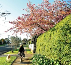 New Zealand offers graduate scholarships to Vietnamese students New Zealand offers graduate scholarships to Vietnamese students