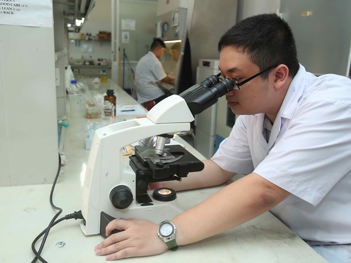 Tranh cãi về phân tầng đại học Tranh cãi về phân tầng đại học