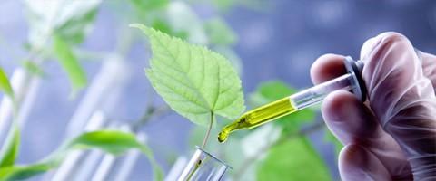 Môn Sinh học: Giảm tải kiến thức, tập trung ngành học mũi nhọn trong nền công nghiệp 4.0 Môn Sinh học: Giảm tải kiến thức, tập trung ngành học mũi nhọn trong nền công nghiệp 4.0