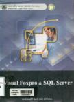 Visual Foxpro & SQL Server