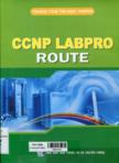 CCNP Labpro ROUTE