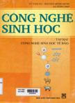 Công nghệ sinh học : Tập II : Công nghệ sinh học tế bào