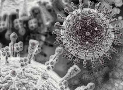 Cúm A/H1N1: 10 điều cần biết