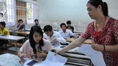 Vietnamese find it hard to use … mother tongue