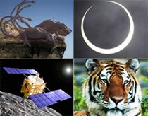 10 sự kiện khoa học thế giới năm 2010